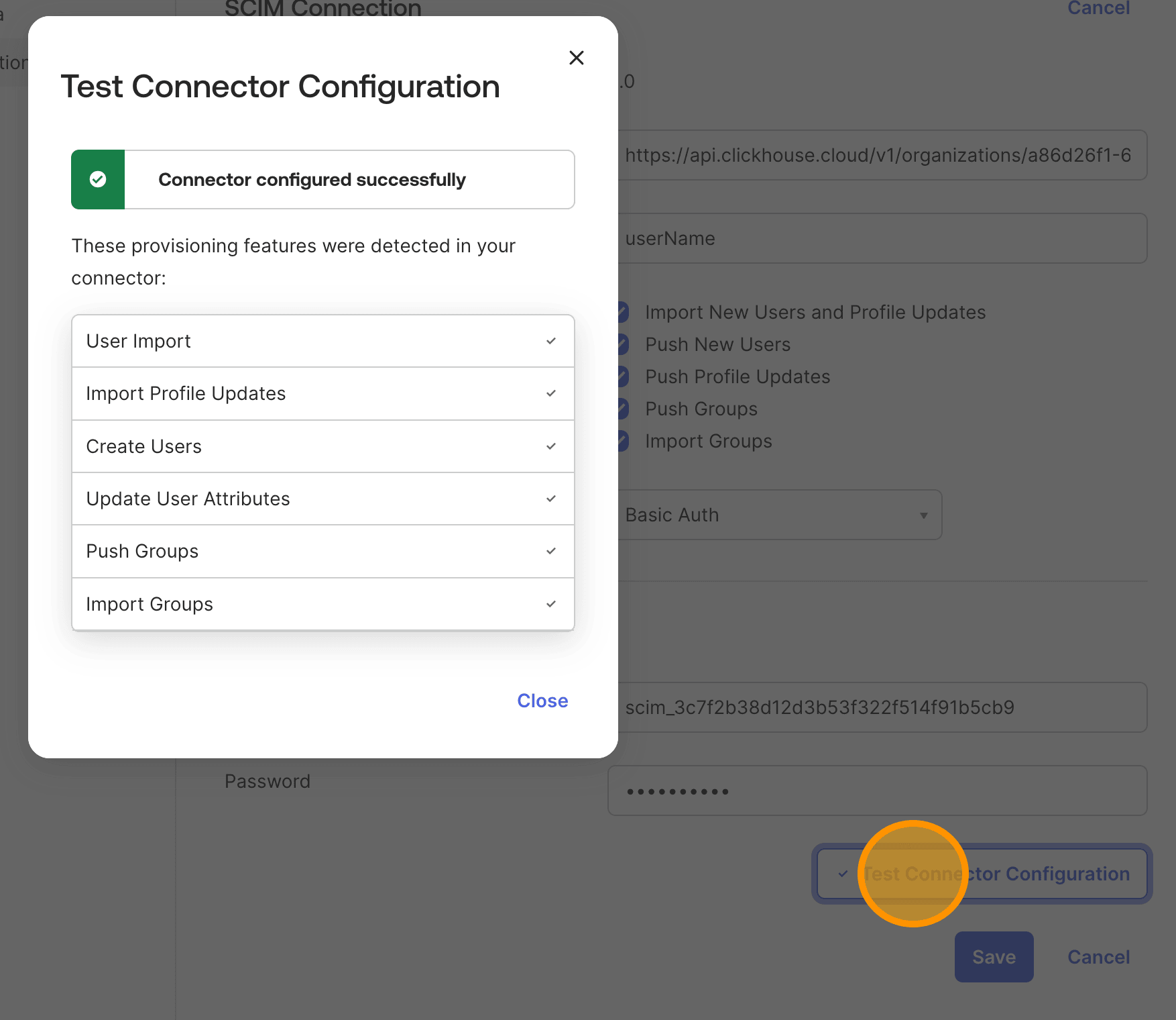 Test the SCIM connection