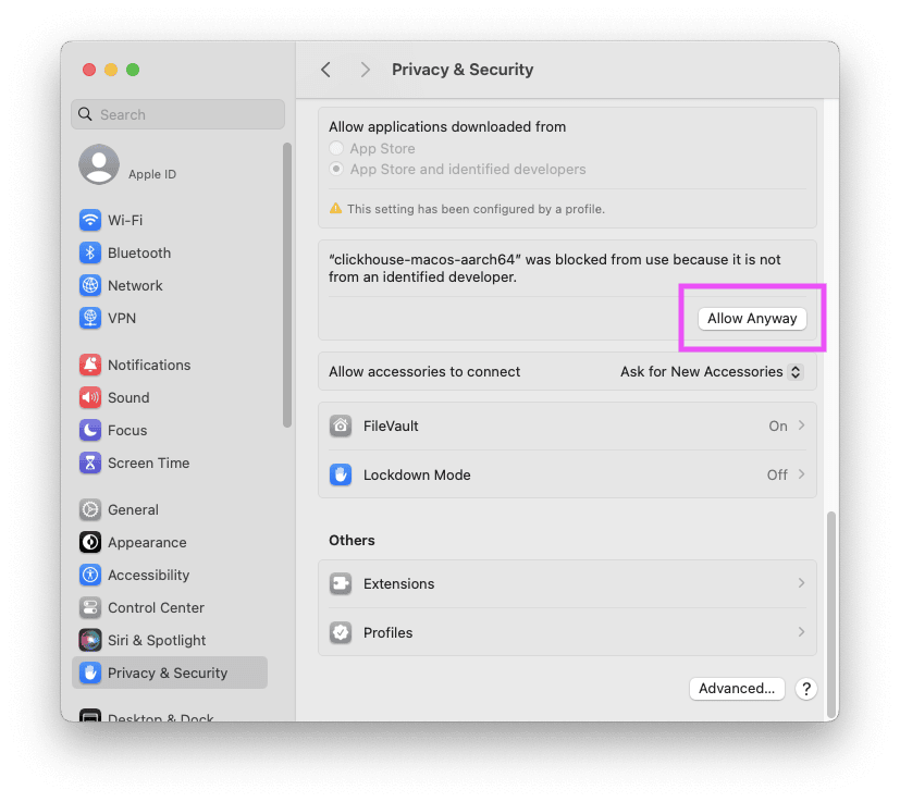 MacOS Privacy & Security settings showing Allow Anyway button